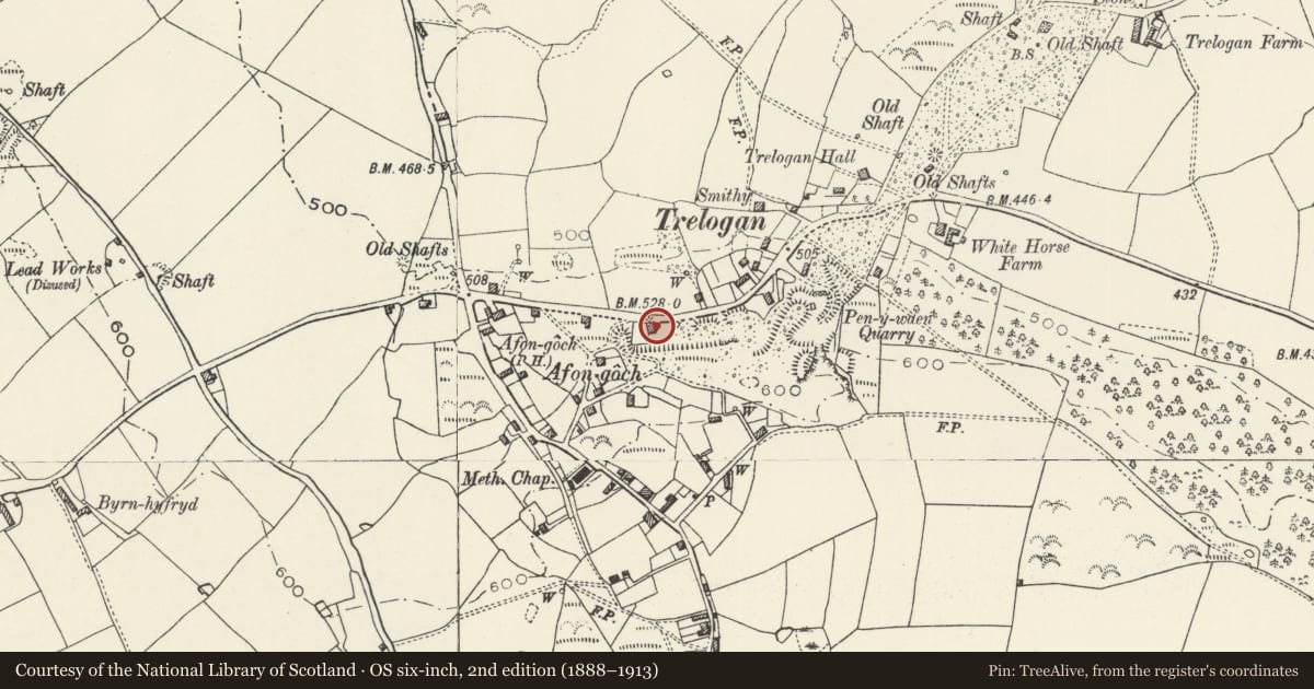 Ordnance Survey six-inch map, 2nd edition (1888–1913) covering the location of Gorse Cottage, Llanasa, Flintshire, with a pin at the register's coordinates