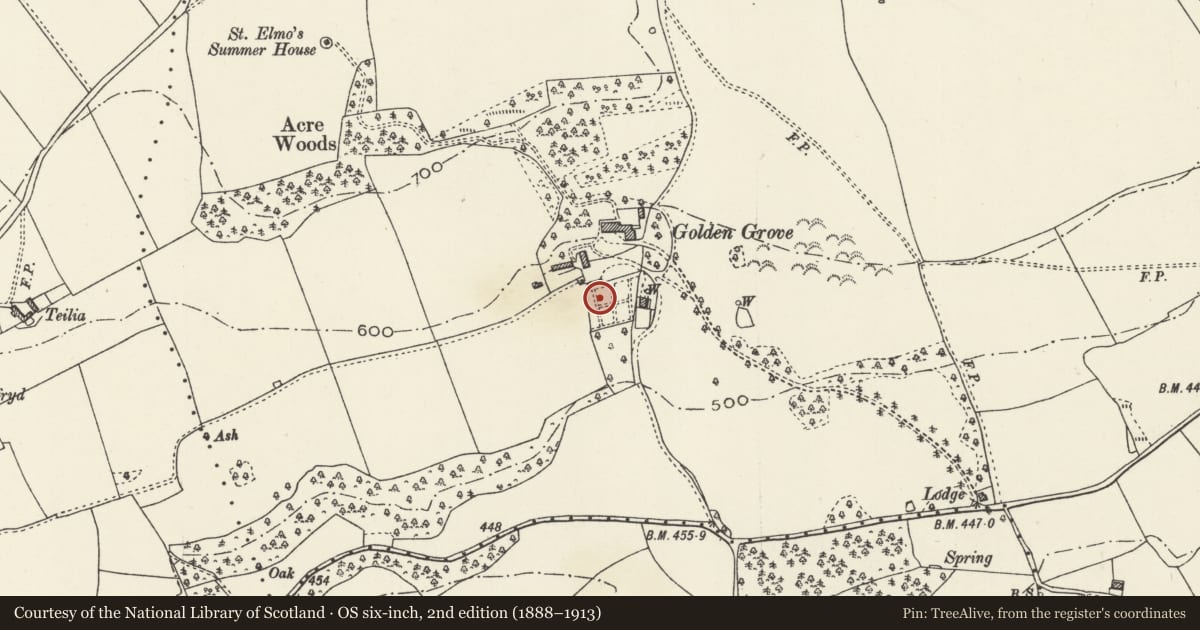Ordnance Survey six-inch map, 2nd edition (1888–1913) covering the location of Greenhouse in terraced garden at Golden Grove, Llanasa, Flintshire, with a pin at the register's coordinates