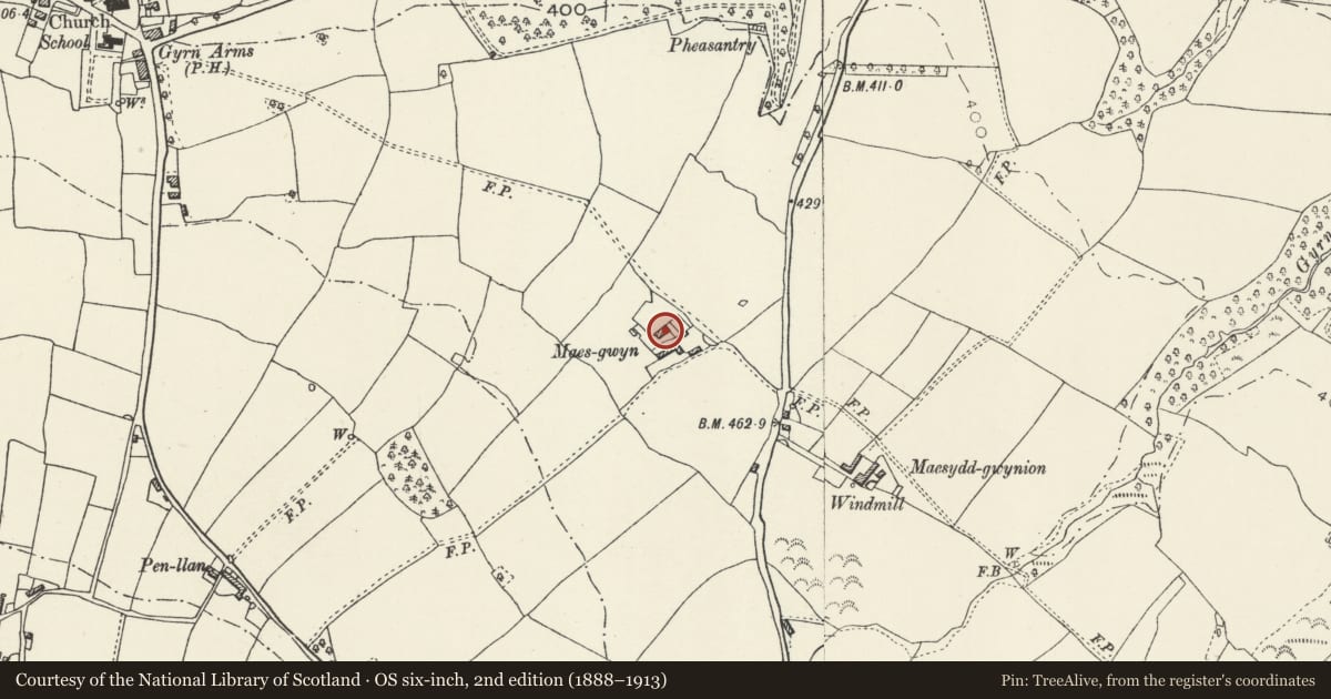 Ordnance Survey six-inch map, 2nd edition (1888–1913) covering the location of Maesgwyn, Llanasa, Flintshire, with a pin at the register's coordinates