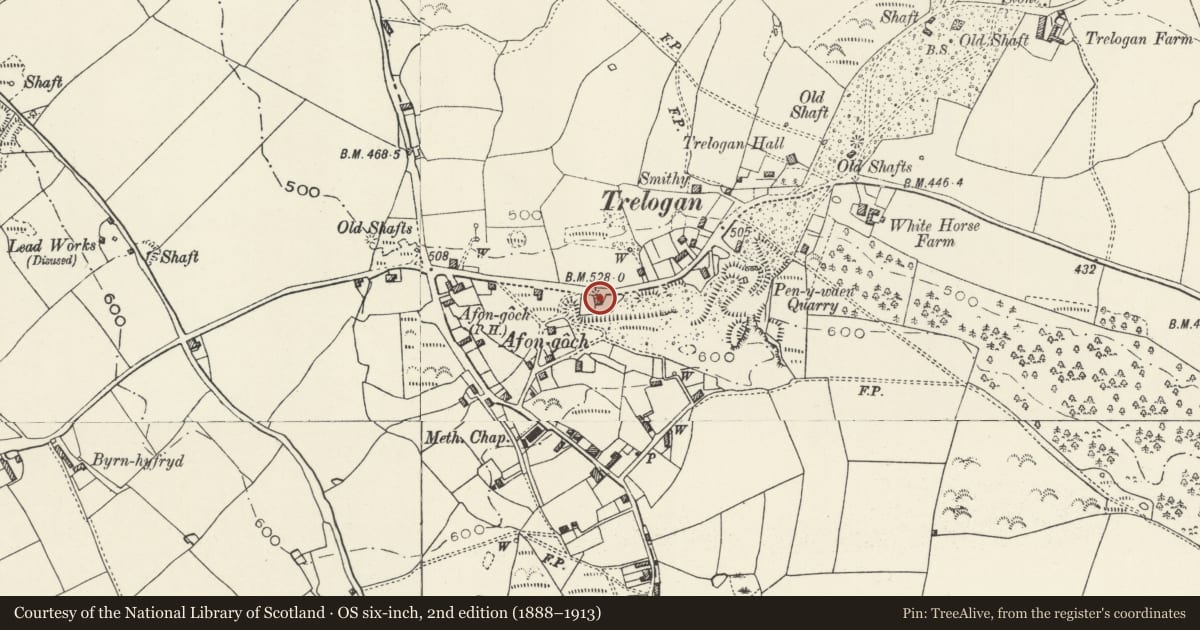 Ordnance Survey six-inch map, 2nd edition (1888–1913) covering the location of Yr Hen Dafarn, Llanasa, Flintshire, with a pin at the register's coordinates