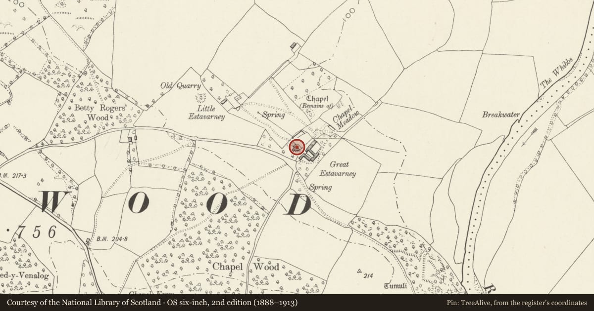 Ordnance Survey six-inch map, 2nd edition (1888–1913) covering the location of Estavarney Farmhouse, Llanbadoc, Monmouthshire, with a pin at the register's coordinates