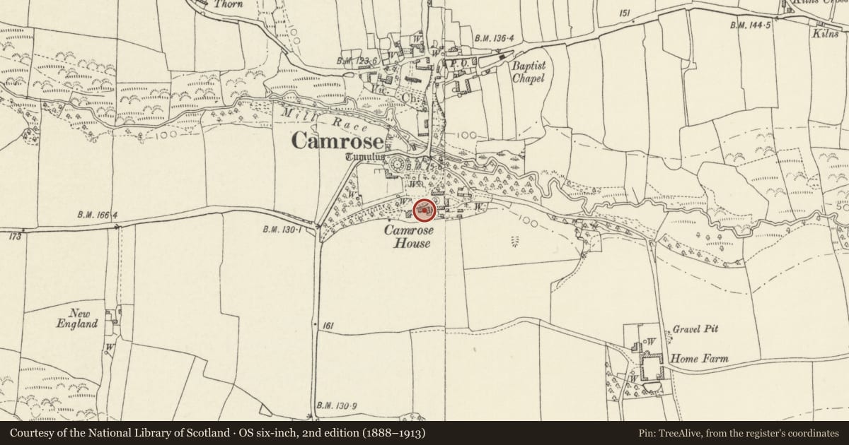 Ordnance Survey six-inch map, 2nd edition (1888–1913) covering the location of Outbuilding immediately E of Camrose House, Pembrokeshire, with a pin at the register's coordinates