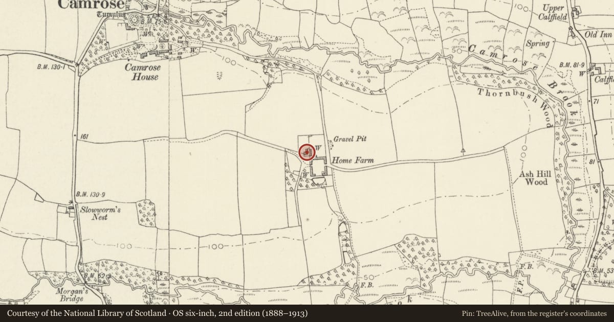 Ordnance Survey six-inch map, 2nd edition (1888–1913) covering the location of Camrose Home Farmhouse, Pembrokeshire, with a pin at the register's coordinates