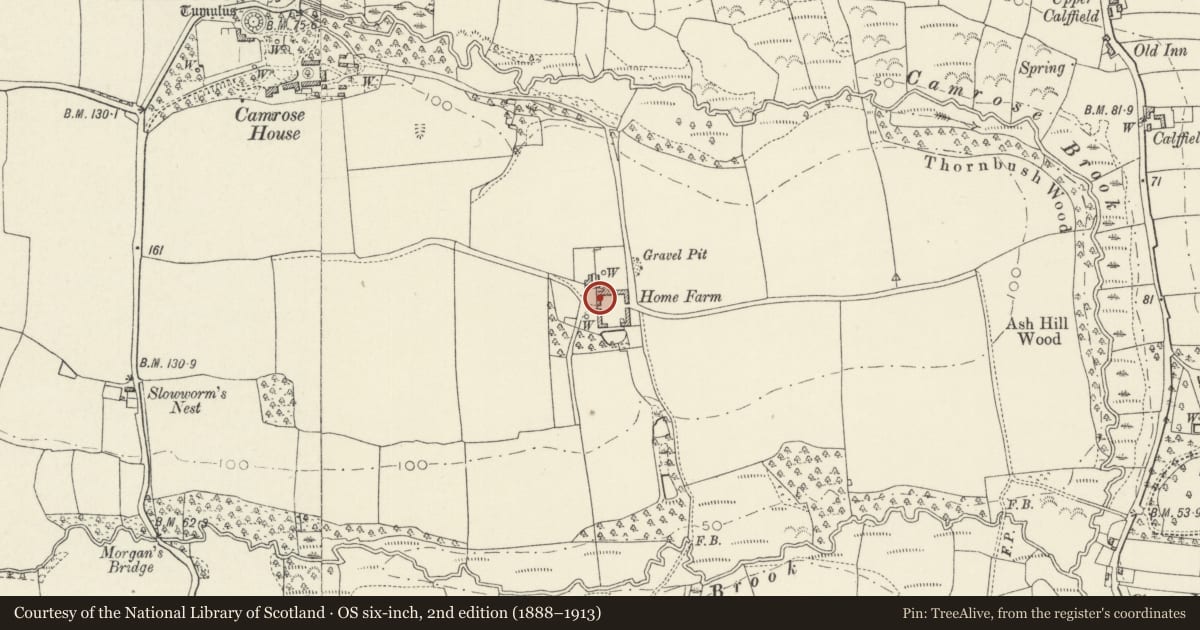 Ordnance Survey six-inch map, 2nd edition (1888–1913) covering the location of Single storey outbuilding on W side of yard at Camrose Home Farm, Pembrokeshire, with a pin at the register's coordinates