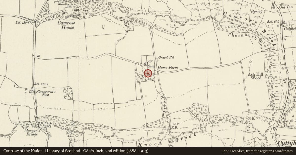 Ordnance Survey six-inch map, 2nd edition (1888–1913) covering the location of Lofted cartshed on W side of yard at Camrose Home Farm, Pembrokeshire, with a pin at the register's coordinates