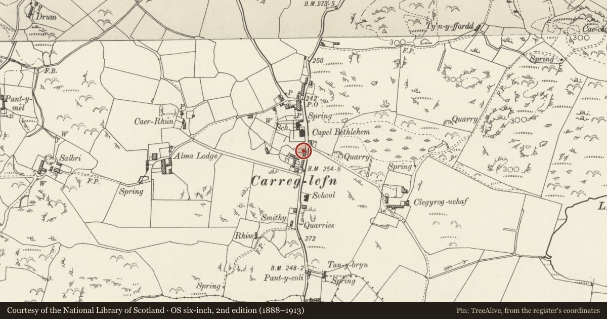 Ordnance Survey six-inch map, 2nd edition (1888–1913) covering the location of Ty Newydd, Mechell, Isle of Anglesey, with a pin at the register's coordinates