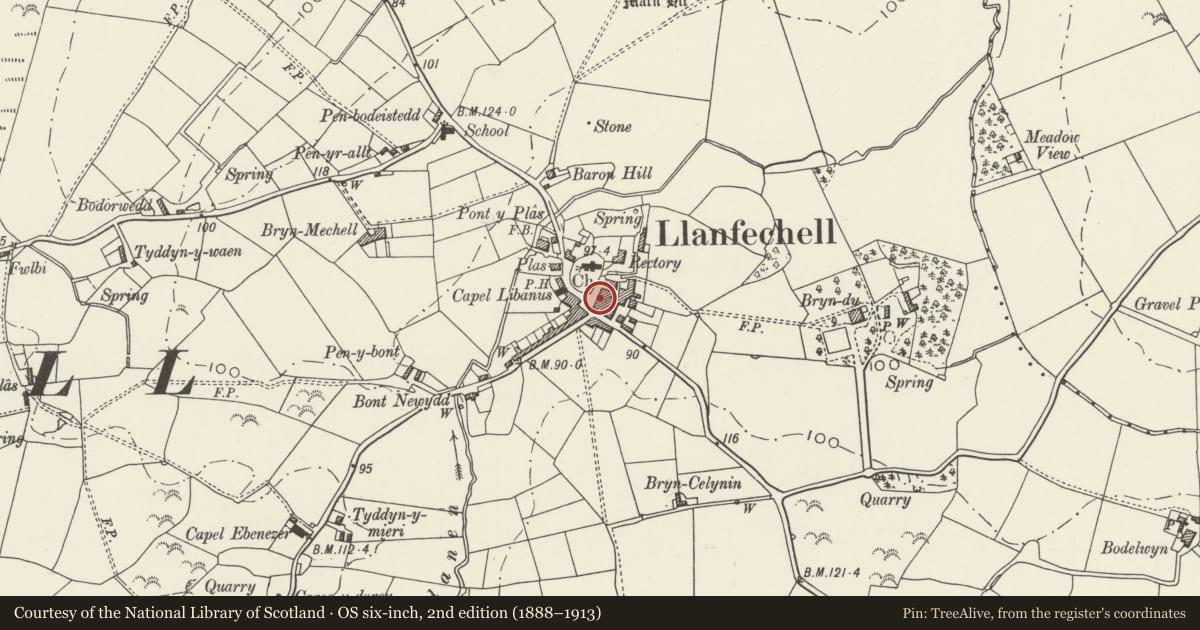 Ordnance Survey six-inch map, 2nd edition (1888–1913) covering the location of Crown Terrace, Mechell, Isle of Anglesey, with a pin at the register's coordinates