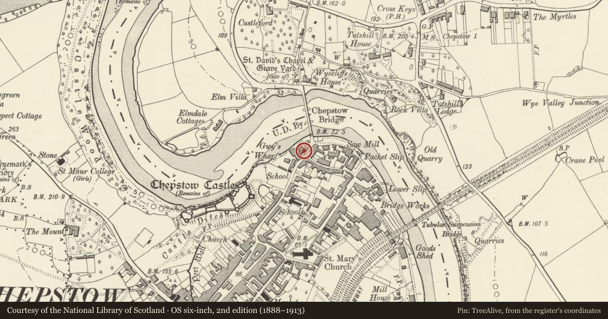 Ordnance Survey six-inch map, 2nd edition (1888–1913) covering the location of St Anne's House, Chepstow, Monmouthshire, with a pin at the register's coordinates