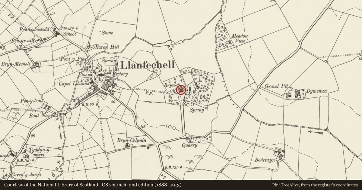 Ordnance Survey six-inch map, 2nd edition (1888–1913) covering the location of Bryn Ddu, Mechell, Isle of Anglesey, with a pin at the register's coordinates