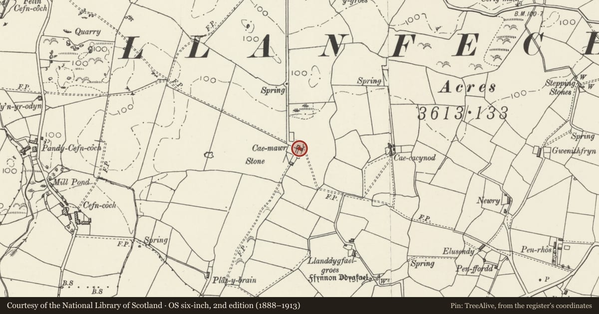 Ordnance Survey six-inch map, 2nd edition (1888–1913) covering the location of Cae Mawr, Mechell, Isle of Anglesey, with a pin at the register's coordinates