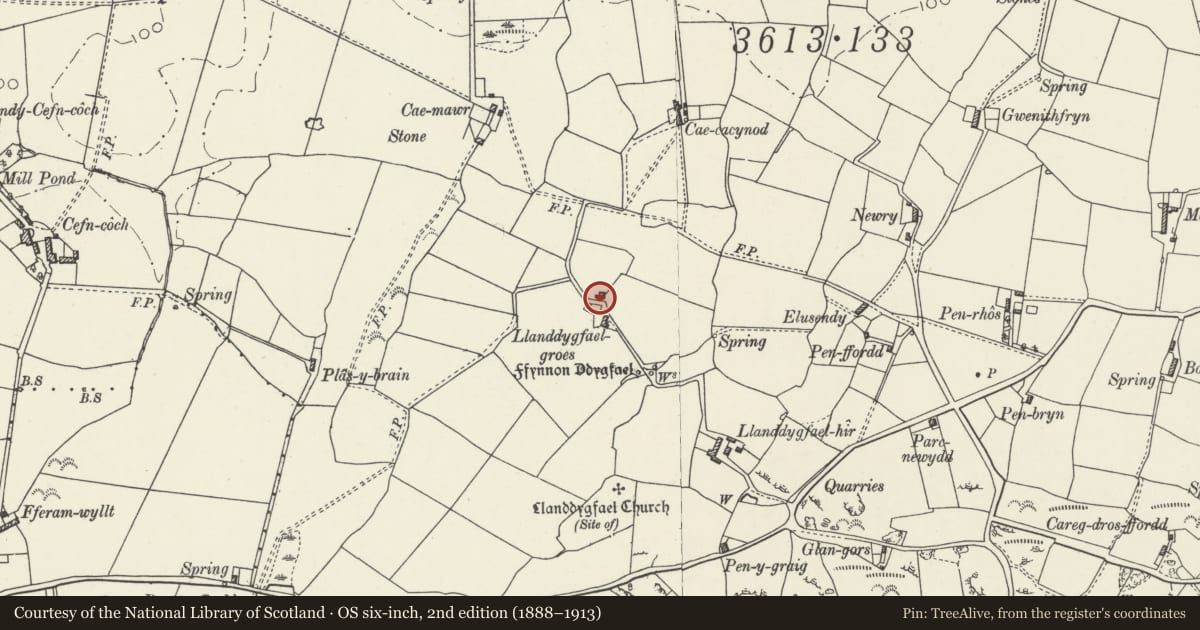 Ordnance Survey six-inch map, 2nd edition (1888–1913) covering the location of Llanddygfael-groes, Mechell, Isle of Anglesey, with a pin at the register's coordinates