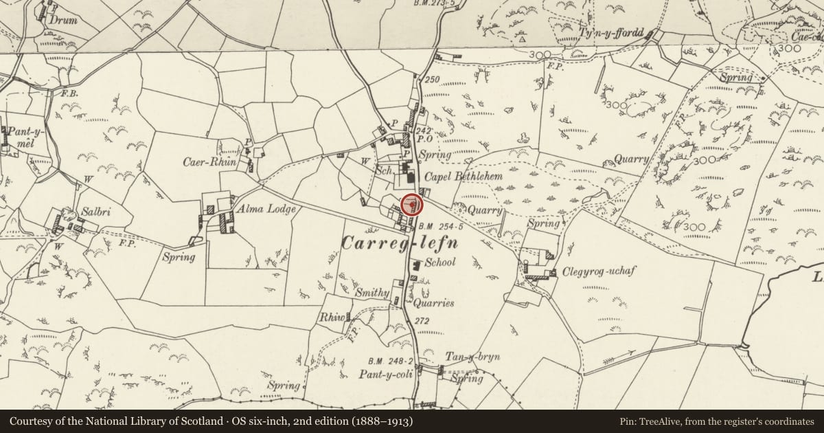 Ordnance Survey six-inch map, 2nd edition (1888–1913) covering the location of Hen Bont, Mechell, Isle of Anglesey, with a pin at the register's coordinates