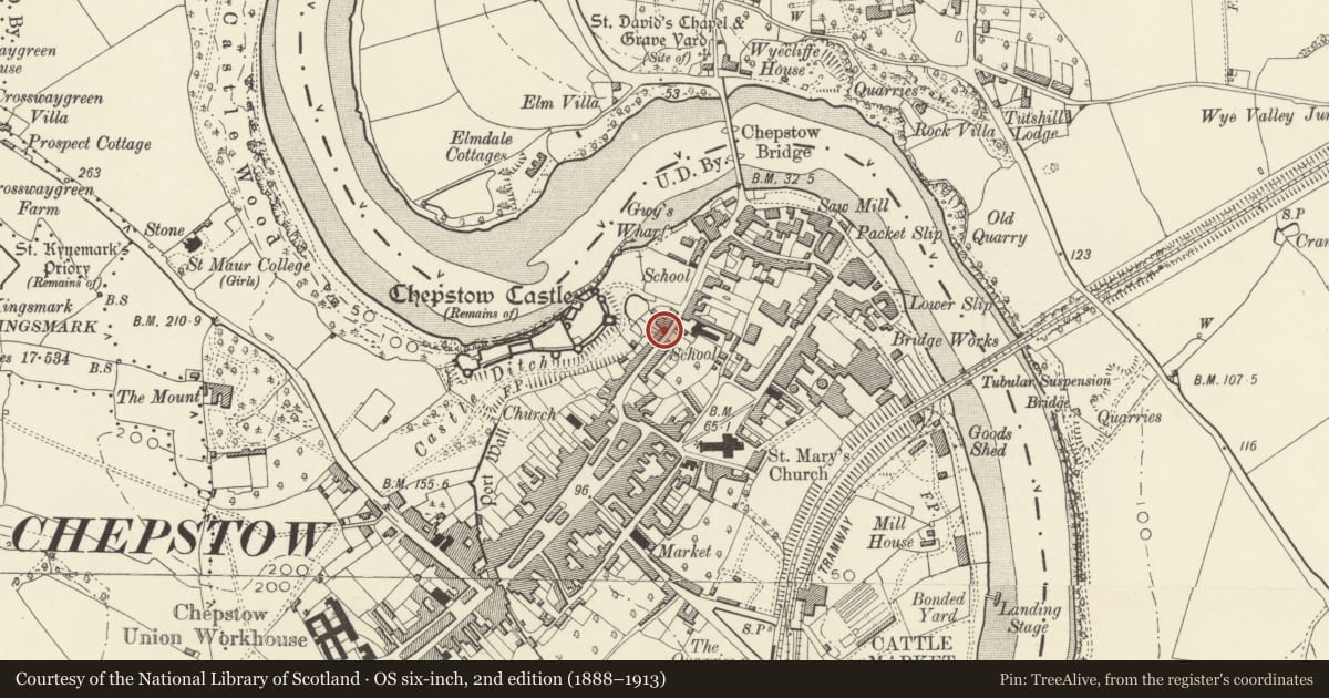 Ordnance Survey six-inch map, 2nd edition (1888–1913) covering the location of Ashburne House, Chepstow, Monmouthshire, with a pin at the register's coordinates