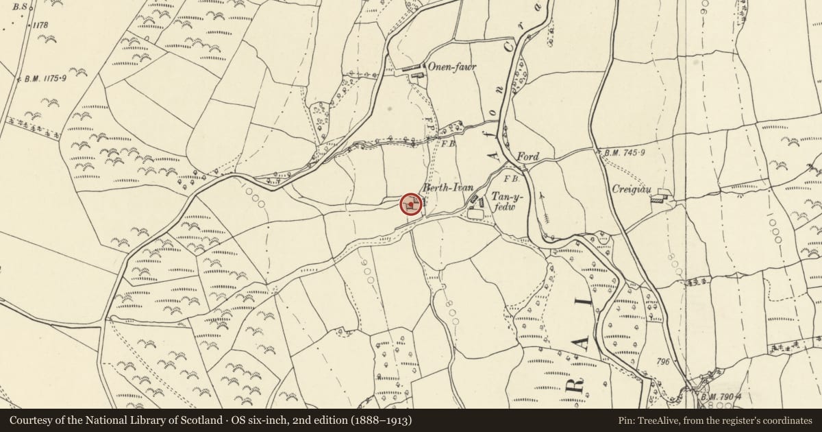 Ordnance Survey six-inch map, 2nd edition (1888–1913) covering the location of Berth Ivan, Cray, Powys, with a pin at the register's coordinates