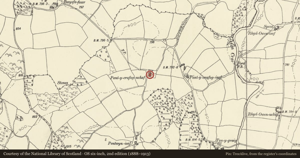 Ordnance Survey six-inch map, 2nd edition (1888–1913) covering the location of Pantcrafog Fawr, Cray, Powys, with a pin at the register's coordinates