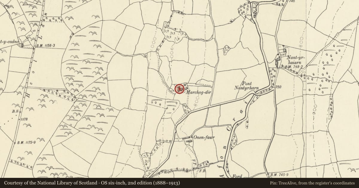 Ordnance Survey six-inch map, 2nd edition (1888–1913) covering the location of Marchogdir, Cray, Powys, with a pin at the register's coordinates