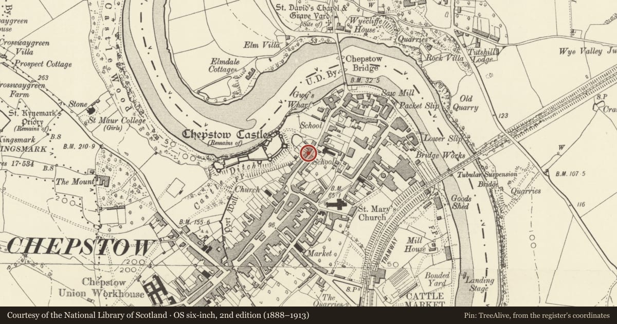 Ordnance Survey six-inch map, 2nd edition (1888–1913) covering the location of Castle Terrace, numbers 33a-47 consec, Chepstow, Monmouthshire, with a pin at the register's coordinates