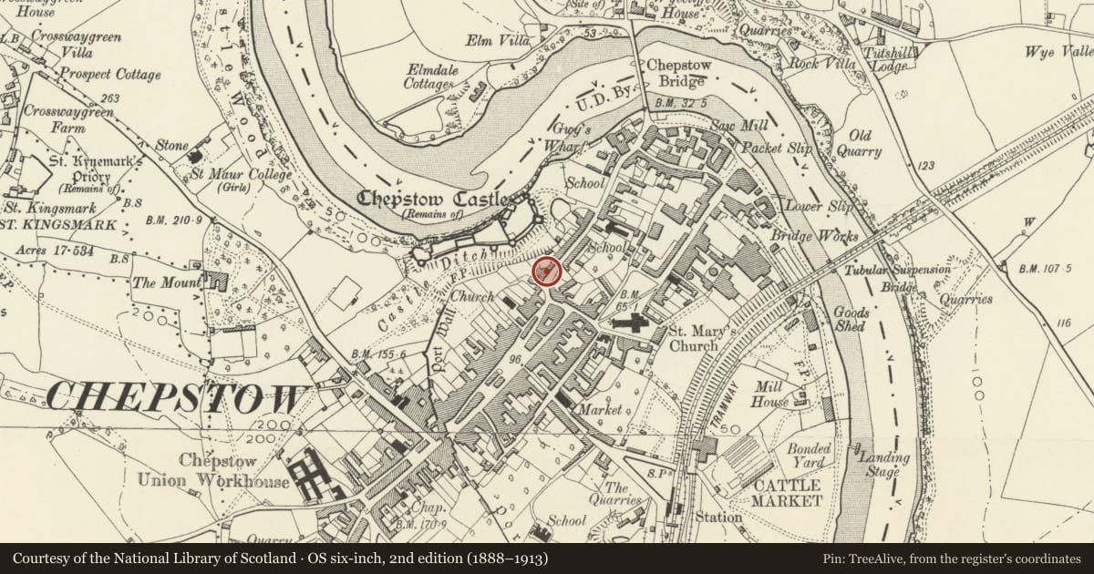 Ordnance Survey six-inch map, 2nd edition (1888–1913) covering the location of 48 Bridge Street including forecourt railings, Chepstow, Monmouthshire, with a pin at the register's coordinates