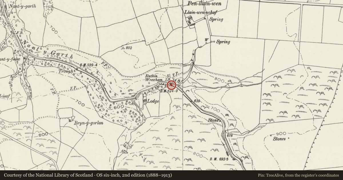 Ordnance Survey six-inch map, 2nd edition (1888–1913) covering the location of Milestone, Llanfair Dyffryn Clwyd, Denbighshire, with a pin at the register's coordinates