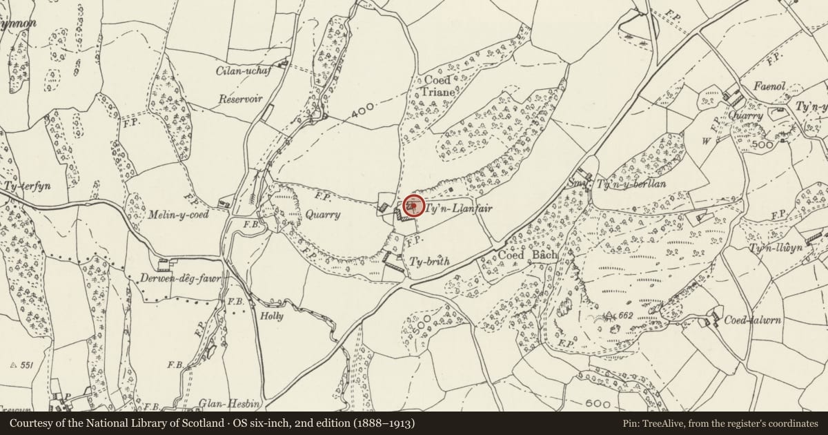 Ordnance Survey six-inch map, 2nd edition (1888–1913) covering the location of Lofted Shed and Cowhouse at Ty'n Llanfair, Llanfair Dyffryn Clwyd, Denbighshire, with a pin at the register's coordinates