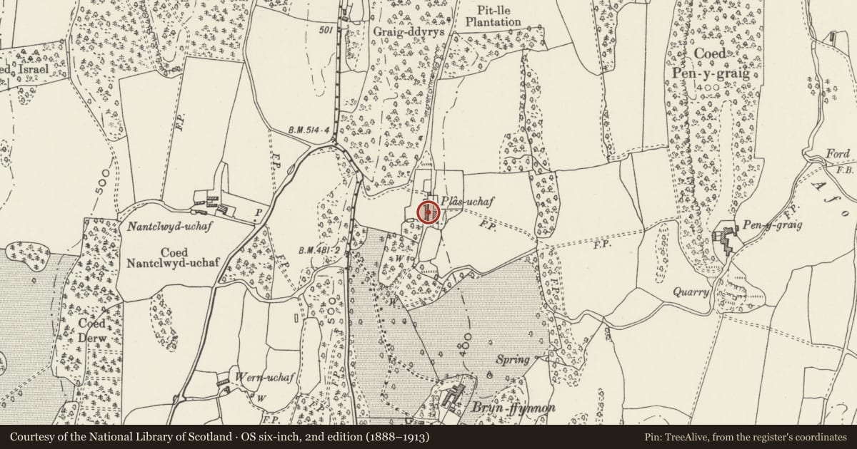 Ordnance Survey six-inch map, 2nd edition (1888–1913) covering the location of Outbuilding at Plas-uchaf, Llanfair Dyffryn Clwyd, Denbighshire, with a pin at the register's coordinates