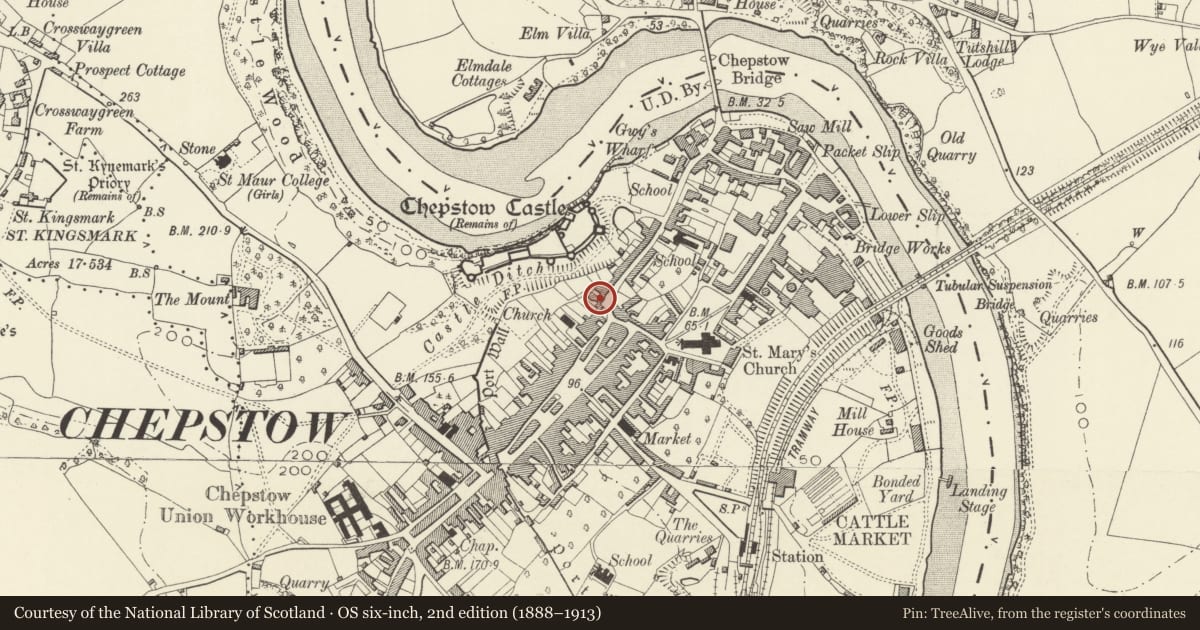 Ordnance Survey six-inch map, 2nd edition (1888–1913) covering the location of St Ann's, Chepstow, Monmouthshire, with a pin at the register's coordinates