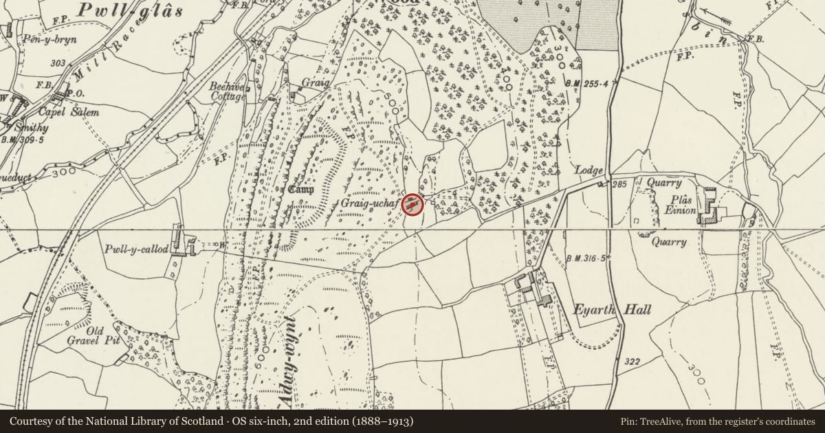 Ordnance Survey six-inch map, 2nd edition (1888–1913) covering the location of Graig Uchaf Cruck Cottage and Barn, Llanfair Dyffryn Clwyd, Denbighshire, with a pin at the register's coordinates