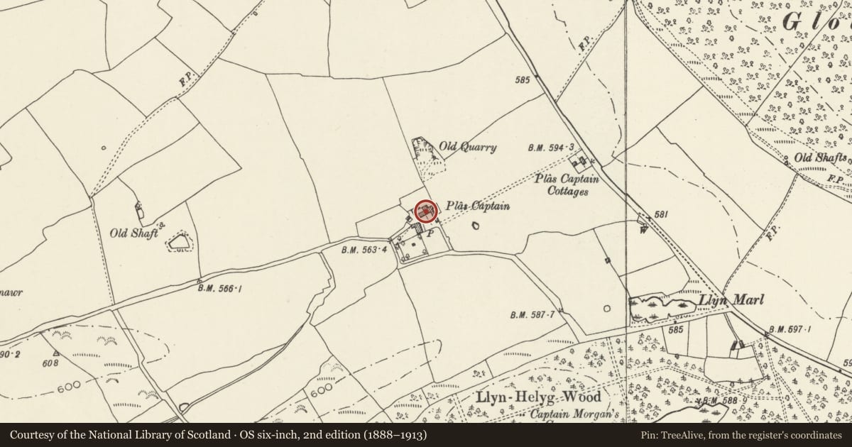 Ordnance Survey six-inch map, 2nd edition (1888–1913) covering the location of Farm Buildings at Plas Captain, Whitford, Flintshire, with a pin at the register's coordinates