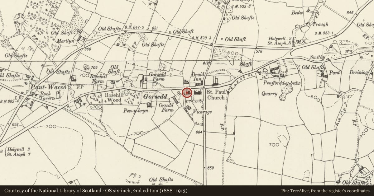 Ordnance Survey six-inch map, 2nd edition (1888–1913) covering the location of Former School & School Master's House, Whitford, Flintshire, with a pin at the register's coordinates