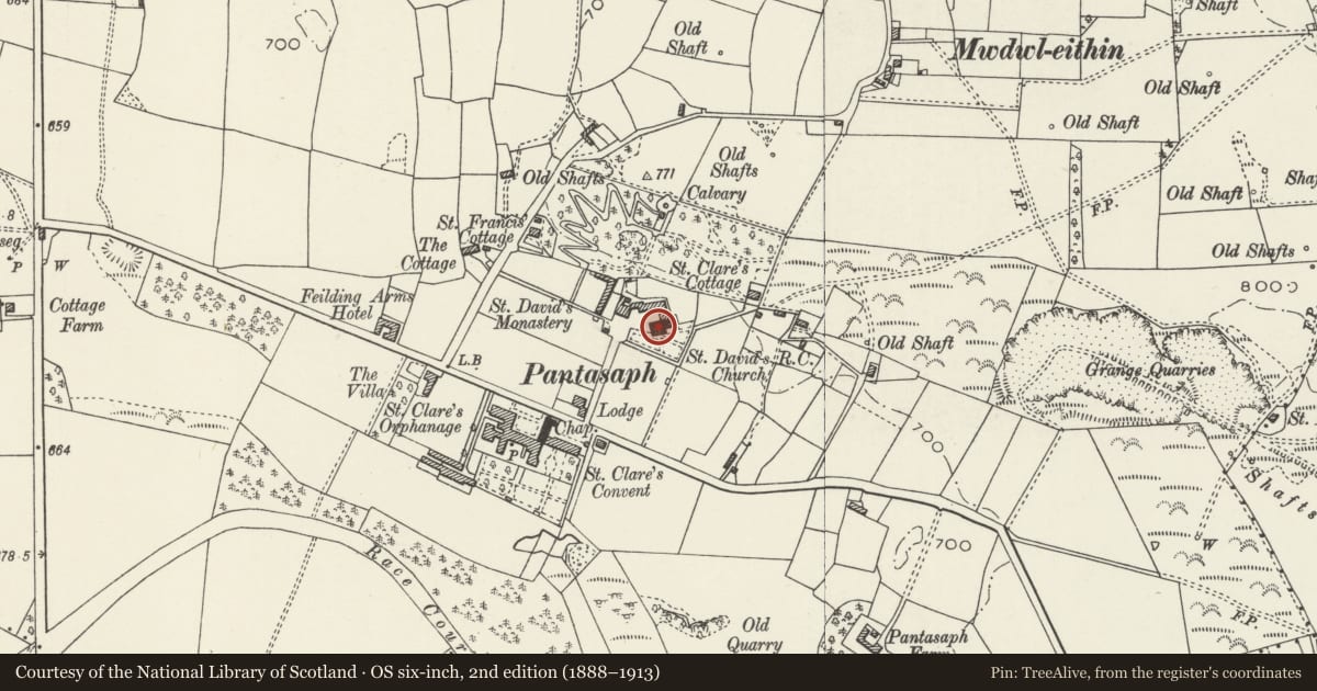 Ordnance Survey six-inch map, 2nd edition (1888–1913) covering the location of The Roman Catholic Church of St David, Whitford, Flintshire, with a pin at the register's coordinates