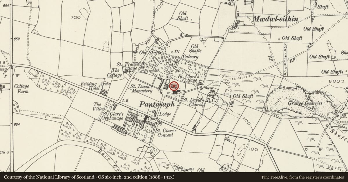 Ordnance Survey six-inch map, 2nd edition (1888–1913) covering the location of Franciscan Friary, Whitford, Flintshire, with a pin at the register's coordinates