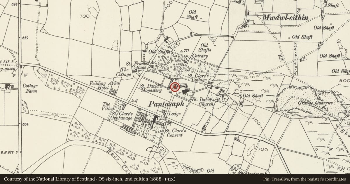 Ordnance Survey six-inch map, 2nd edition (1888–1913) covering the location of Guest House including linking range at Pantasaph Friary, Whitford, Flintshire, with a pin at the register's coordinates