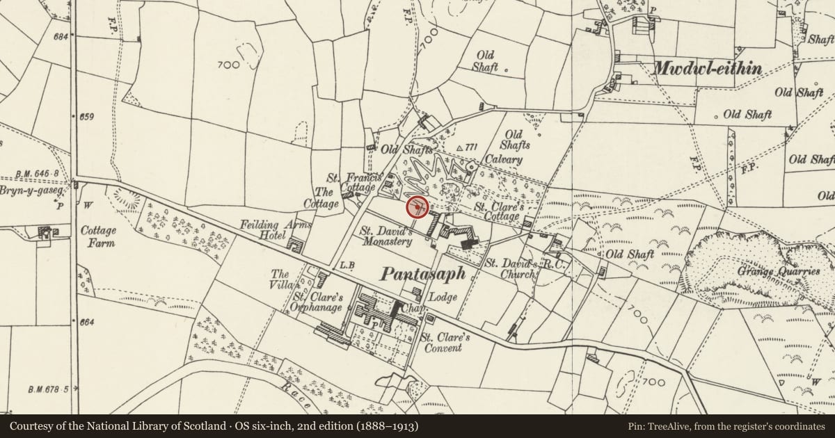 Ordnance Survey six-inch map, 2nd edition (1888–1913) covering the location of Archway to the Way of the Cross at Pantasaph Friary, Whitford, Flintshire, with a pin at the register's coordinates