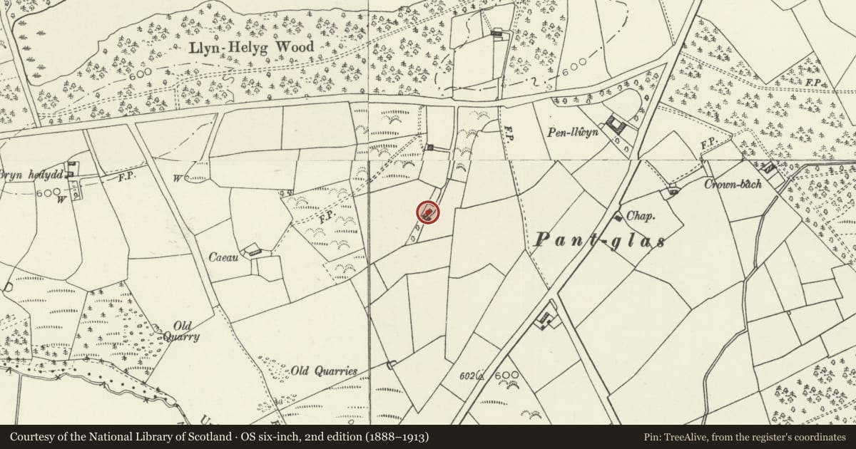 Ordnance Survey six-inch map, 2nd edition (1888–1913) covering the location of Pant Glas, Whitford, Flintshire, with a pin at the register's coordinates