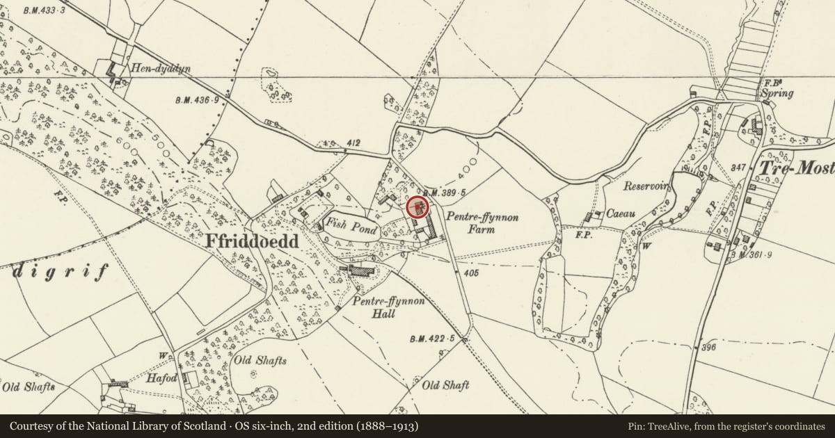 Ordnance Survey six-inch map, 2nd edition (1888–1913) covering the location of Pentre Ffynnon Mill, Whitford, Flintshire, with a pin at the register's coordinates