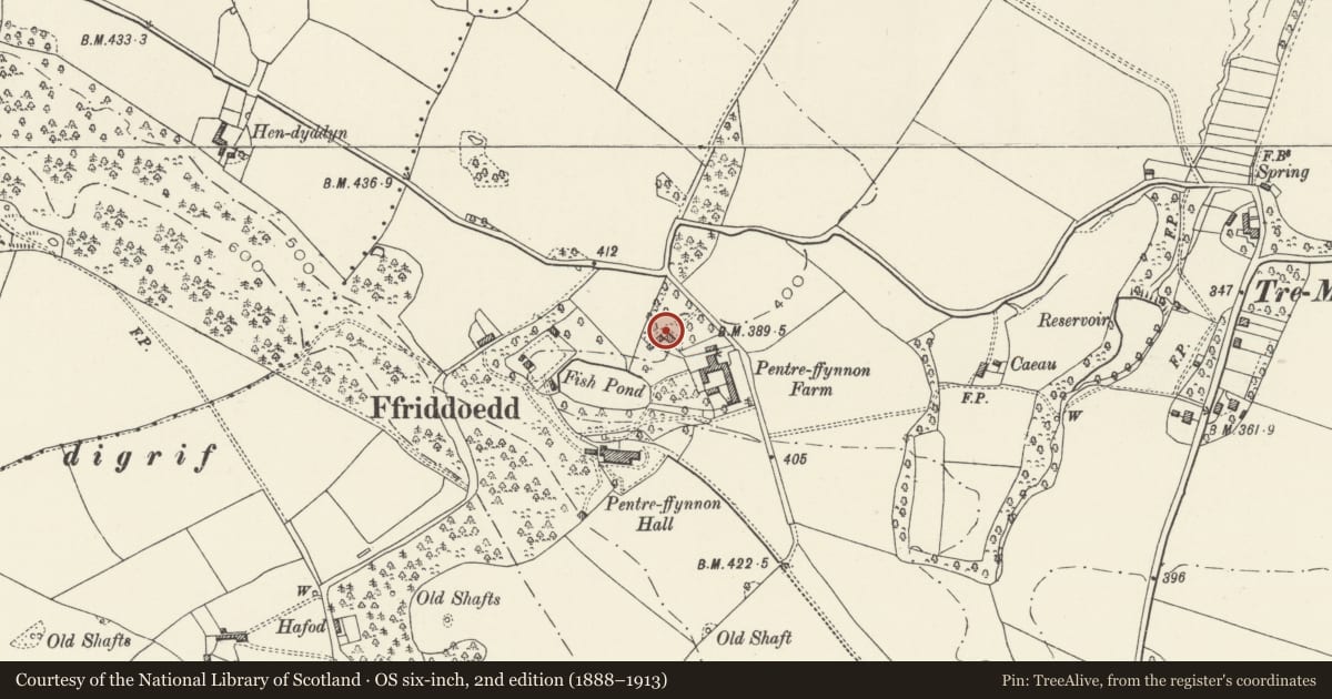 Ordnance Survey six-inch map, 2nd edition (1888–1913) covering the location of Pentre Ffynnon Farmhouse, Whitford, Flintshire, with a pin at the register's coordinates