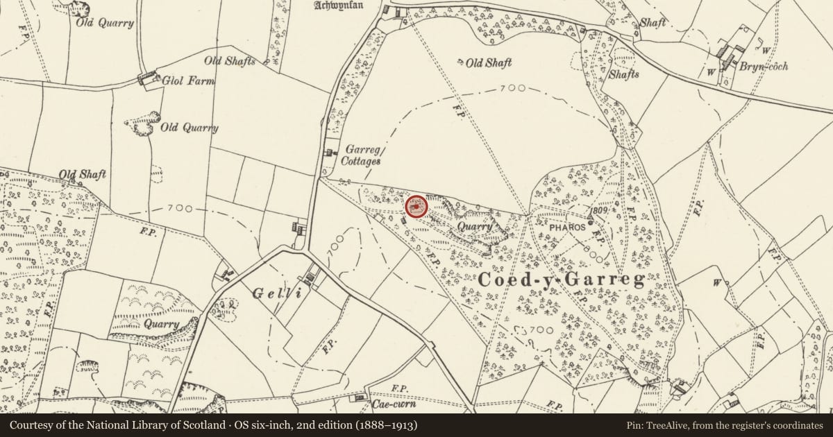 Ordnance Survey six-inch map, 2nd edition (1888–1913) covering the location of Limekilns, Whitford, Flintshire, with a pin at the register's coordinates