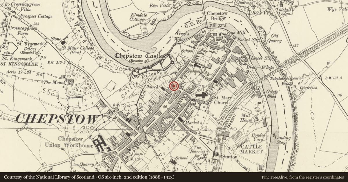 Ordnance Survey six-inch map, 2nd edition (1888–1913) covering the location of Courtyard wall and gatepiers E of Powis Almshouses, Chepstow, Monmouthshire, with a pin at the register's coordinates