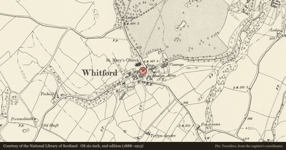 Ordnance Survey six-inch map, 2nd edition (1888–1913) covering the location of Entrance piers, gates and steps to Lychgate at the Church of St Beuno and St Mary, Whitford, Flintshire, with a pin at the register's coordinates