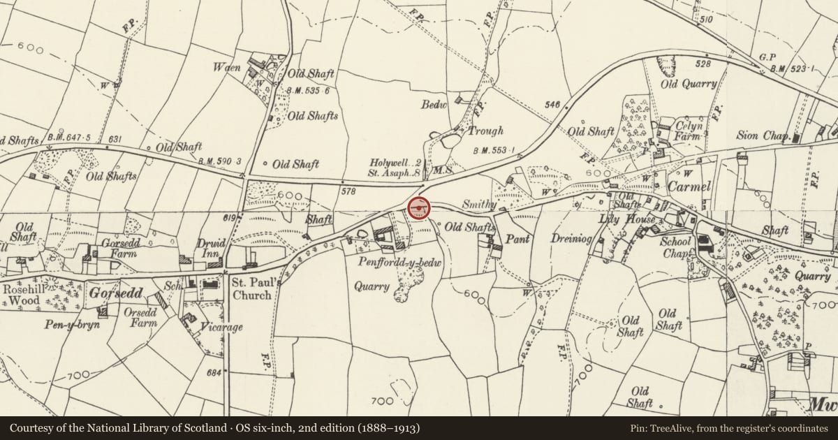 Ordnance Survey six-inch map, 2nd edition (1888–1913) covering the location of Limekiln, Whitford, Flintshire, with a pin at the register's coordinates