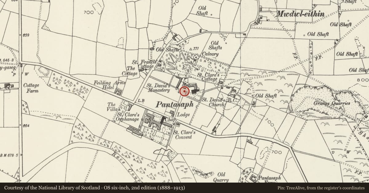 Ordnance Survey six-inch map, 2nd edition (1888–1913) covering the location of Entrance piers and flanking walls at Pantasaph Friary, Whitford, Flintshire, with a pin at the register's coordinates