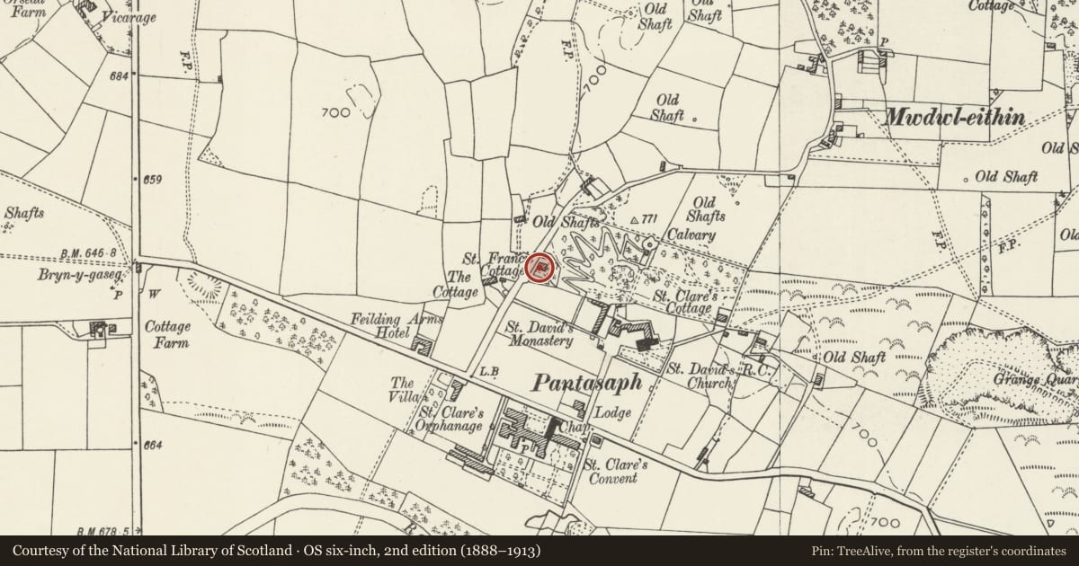 Ordnance Survey six-inch map, 2nd edition (1888–1913) covering the location of West Gate, Whitford, Flintshire, with a pin at the register's coordinates