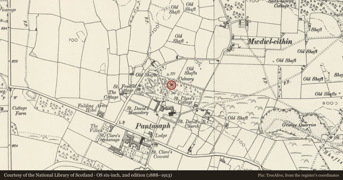 Ordnance Survey six-inch map, 2nd edition (1888–1913) covering the location of Chapel of the Sepulchre, including walls flanking entrance, Whitford, Flintshire, with a pin at the register's coordinates