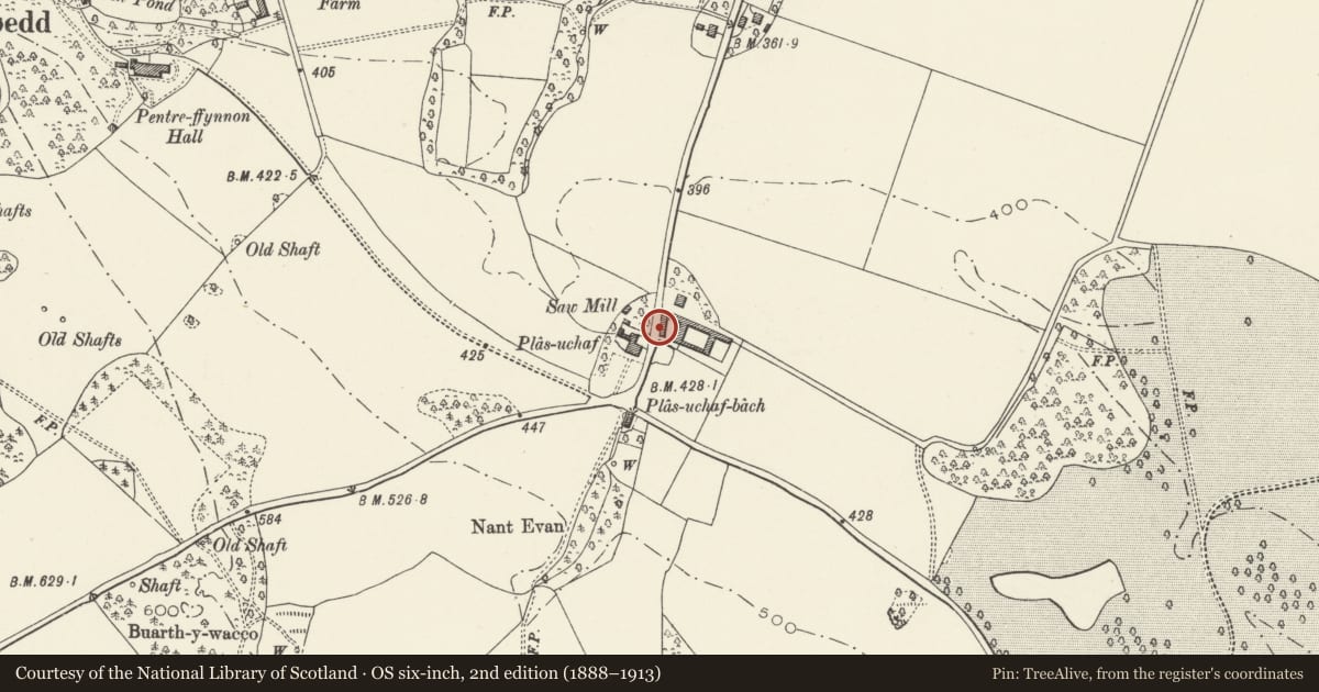 Ordnance Survey six-inch map, 2nd edition (1888–1913) covering the location of Cart-Shed at Plas Uchaf, Whitford, Flintshire, with a pin at the register's coordinates