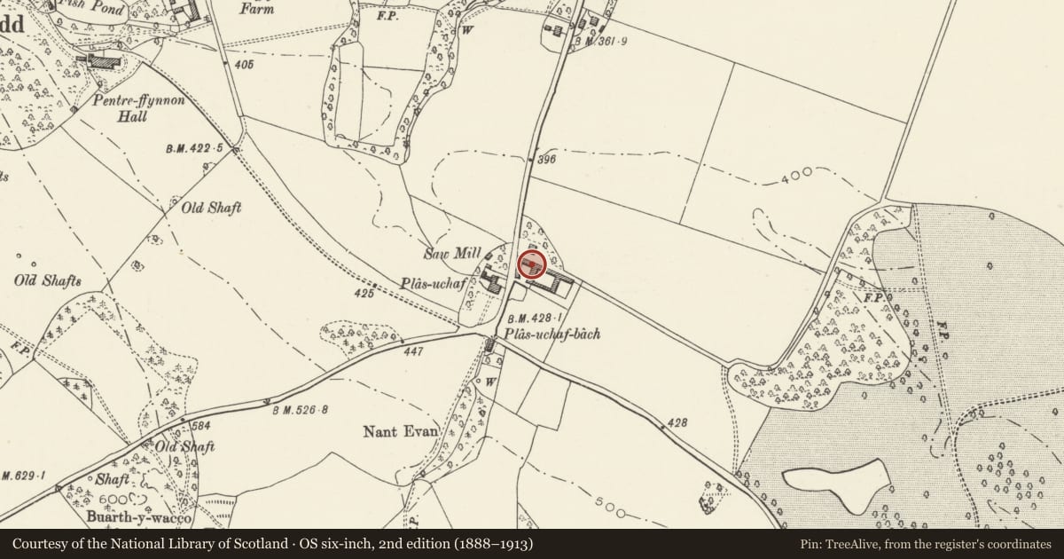 Ordnance Survey six-inch map, 2nd edition (1888–1913) covering the location of Barn at Plas Uchaf, Whitford, Flintshire, with a pin at the register's coordinates