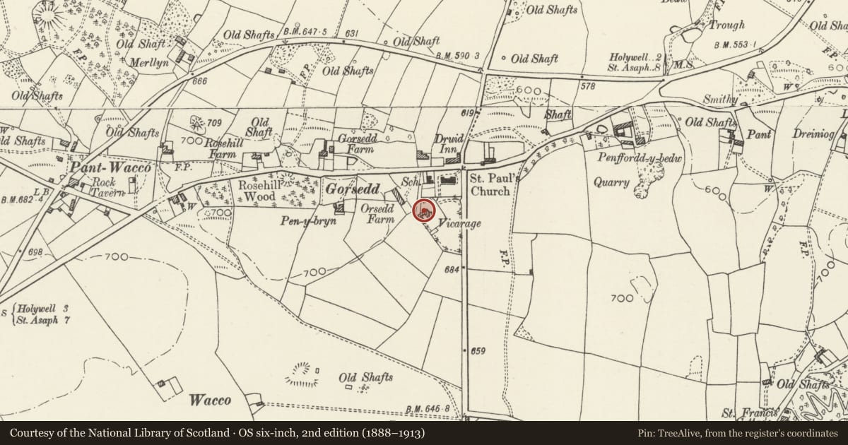 Ordnance Survey six-inch map, 2nd edition (1888–1913) covering the location of Holly House, Whitford, Flintshire, with a pin at the register's coordinates