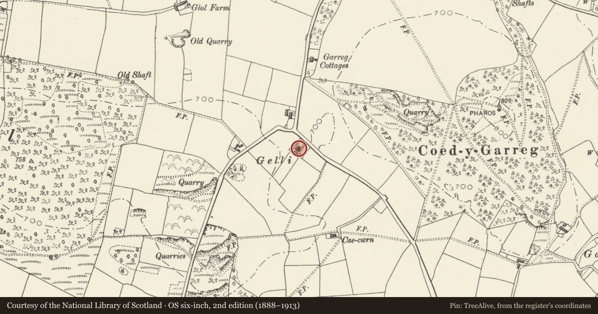 Ordnance Survey six-inch map, 2nd edition (1888–1913) covering the location of 1 Gelli Fawr, Whitford, Flintshire, with a pin at the register's coordinates