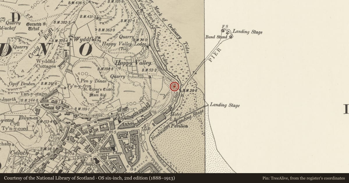 Ordnance Survey six-inch map, 2nd edition (1888–1913) covering the location of Nine Lamp Standards, Llandudno, Conwy, with a pin at the register's coordinates