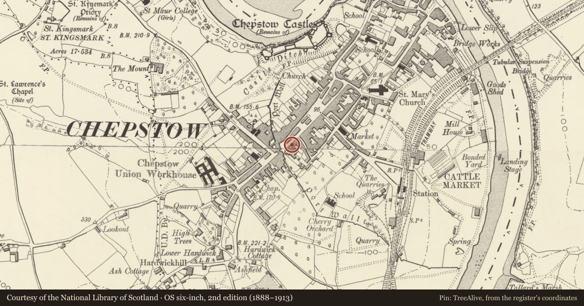 Ordnance Survey six-inch map, 2nd edition (1888–1913) covering the location of 7 High Street, Chepstow, Monmouthshire, with a pin at the register's coordinates