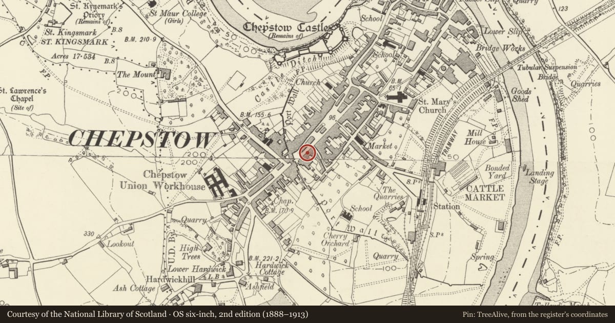 Ordnance Survey six-inch map, 2nd edition (1888–1913) covering the location of 8 High Street, Chepstow, Monmouthshire, with a pin at the register's coordinates